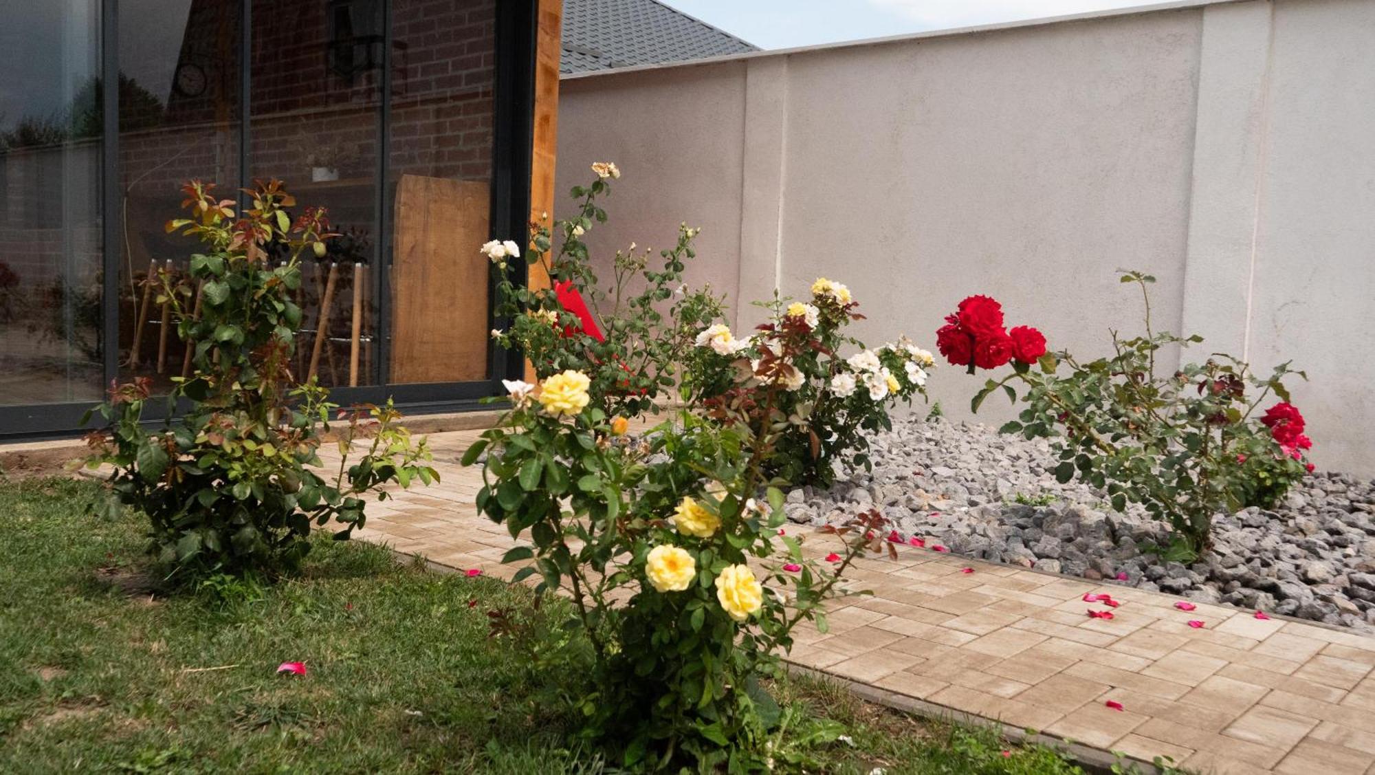 Casa Lucan Brašov Exteriér fotografie